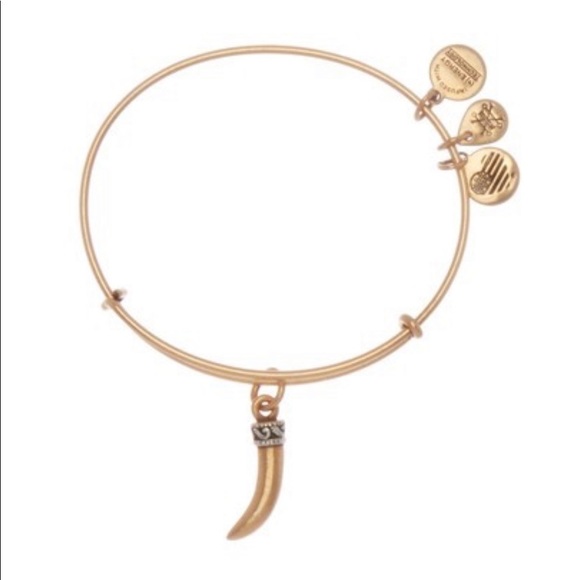 Alex and Ani Accessories - 🆕 | ALEX & ANI | Horn Charm Expandable Bracelet Alex and Ani Accessories - 🆕 | ALEX & ANI | Horn Charm Expandable Bracelet